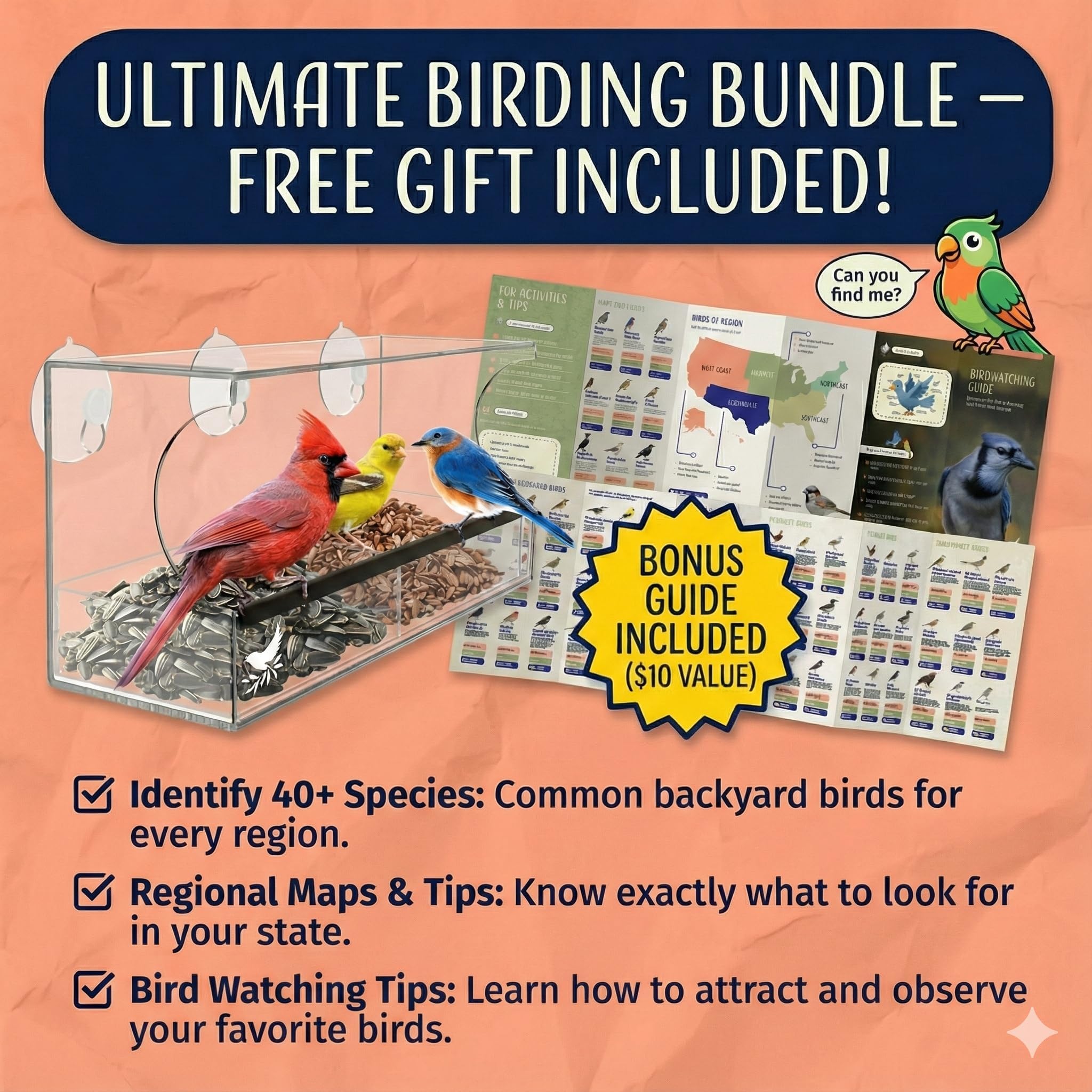 Nature’s Hangout window feeder with lifetime guarantee and VIP support.