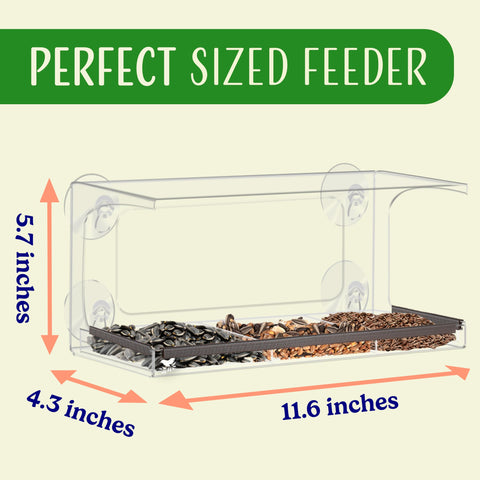 Removable seed tray for quick refilling in Nature's Hangout feeder.