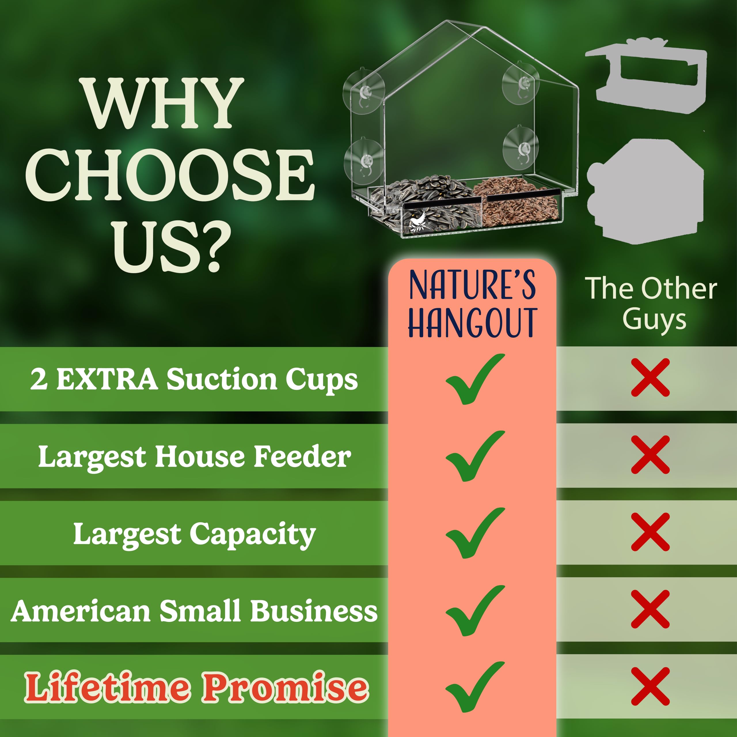 Secure window mount of Nature's Hangout feeder for stable indoor viewing