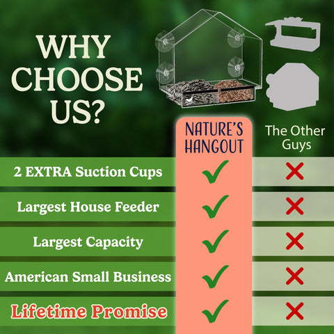 Secure window mount of Nature's Hangout feeder for stable indoor viewing
