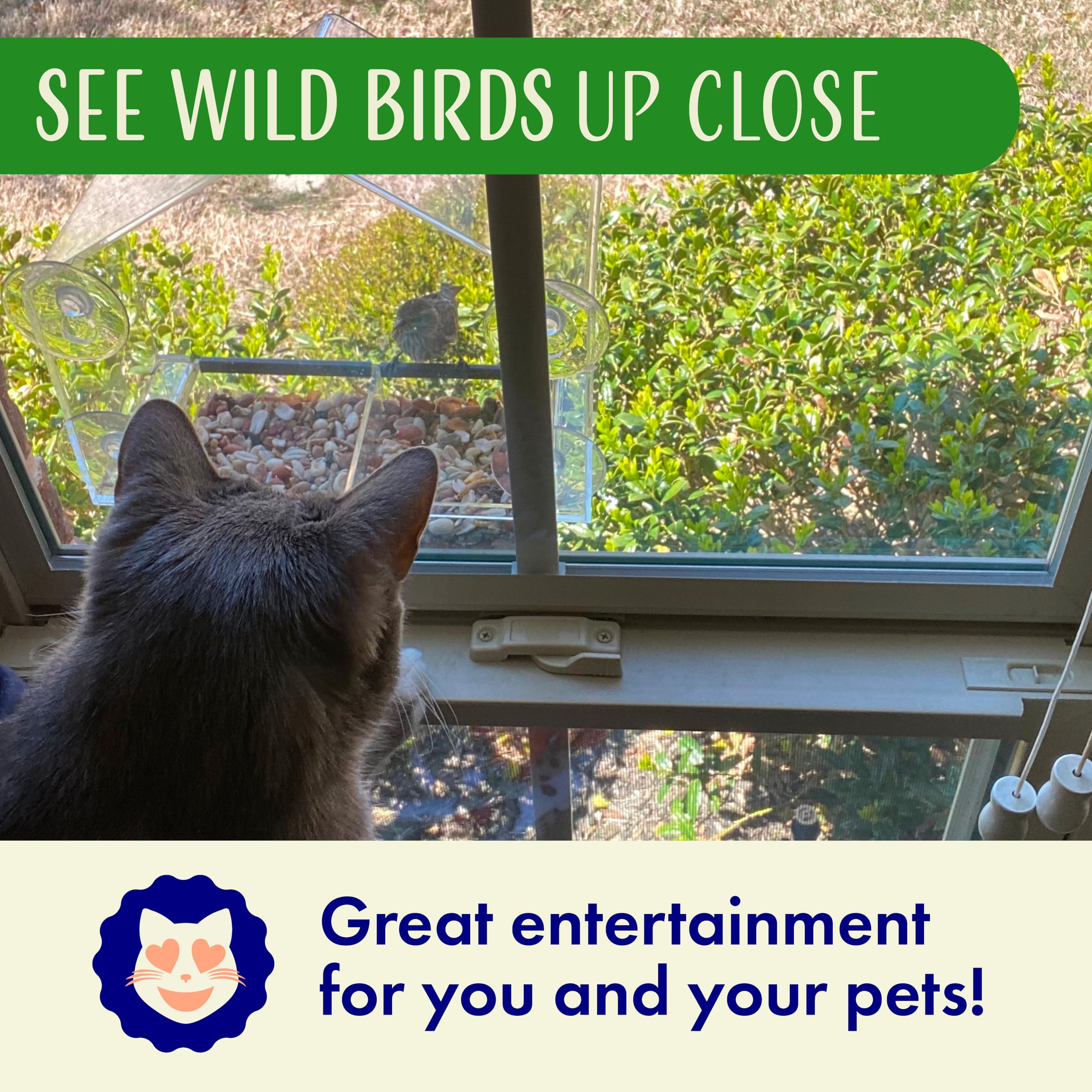 Squirrel-proof window feeder by Nature's Hangout mounted on glass