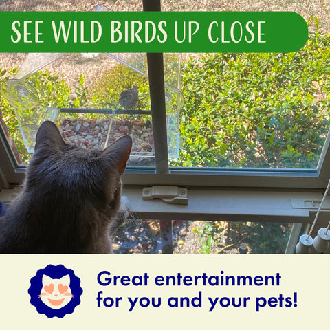 Squirrel-proof window feeder by Nature's Hangout mounted on glass