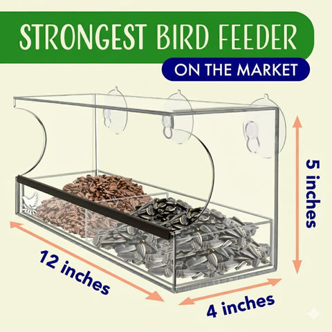 Nature’s Hangout window feeder with ECOSTRONG suction cups for secure mounting.