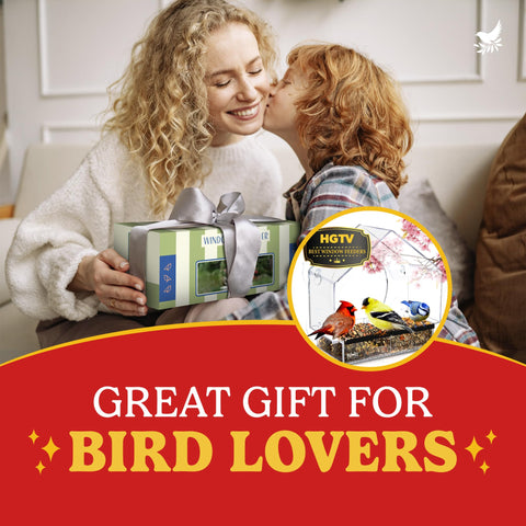 Nature's Hangout weather-proof balcony feeder stands up to outdoor conditions.