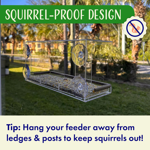Nature's Hangout feeder sits in a sunlit kitchen window for daily wildlife watching.