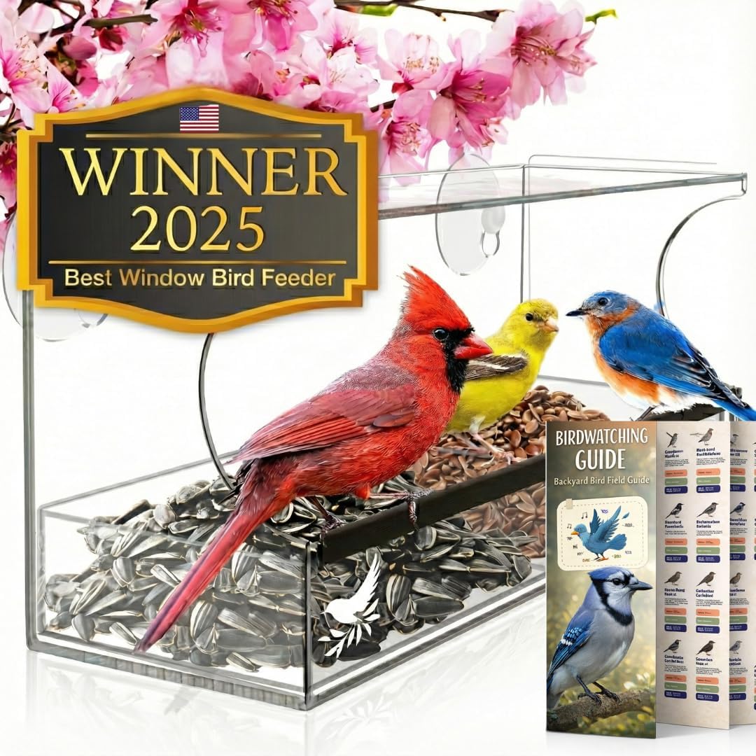 Nature’s Hangout window bird feeder with clear acrylic for close indoor viewing.