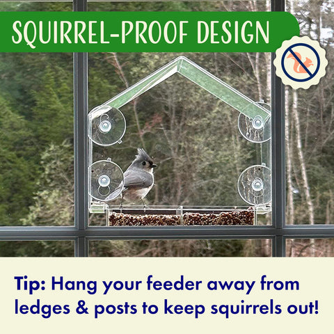 Nature's Hangout packaging box for window bird feeder as a gift
