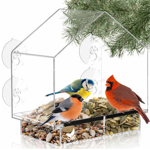 Nature's Hangout window bird feeder with strong suction cups on glass for secure viewing