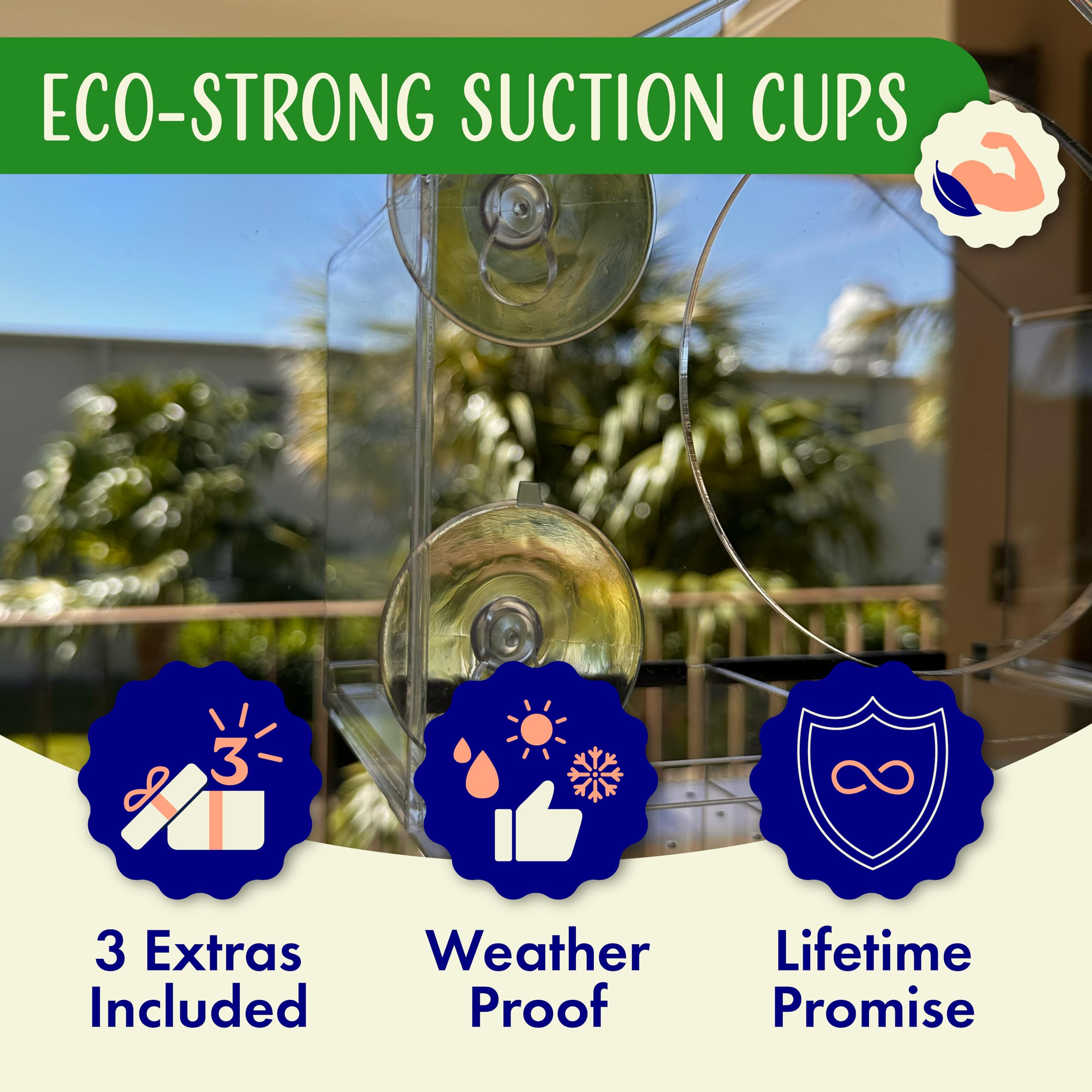 Nature's Hangout window feeder with suction cups ensures a secure mount for all-day viewing.