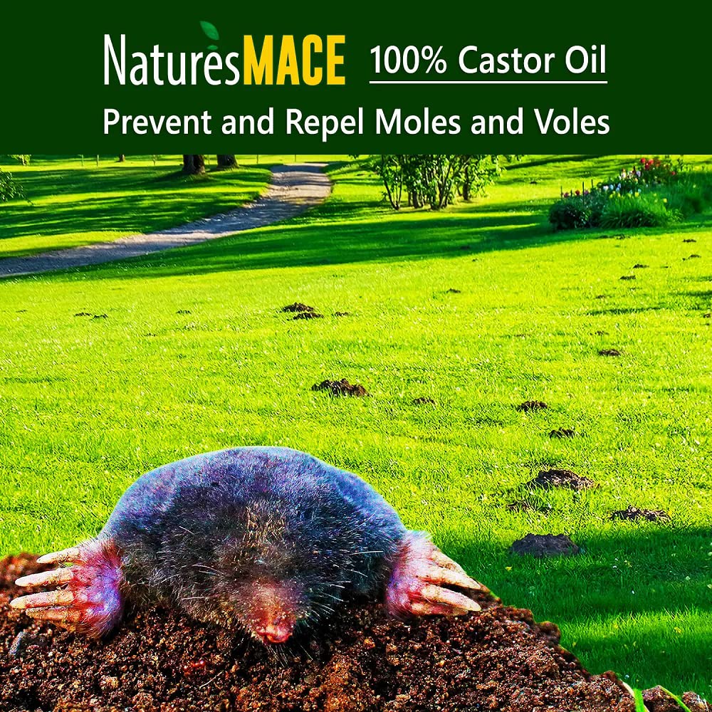 Bulbs treated with Nature's MACE receive protective coating for new blooms.