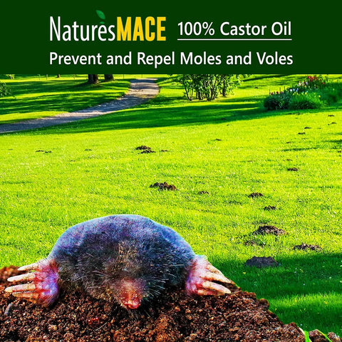 Bulbs treated with Nature's MACE receive protective coating for new blooms.