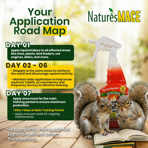 Nature's MACE attic spray protects storage spaces from intruders.