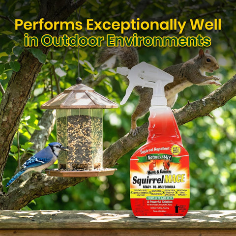 Nature's MACE bottle near bird feeders helps keep squirrels away.