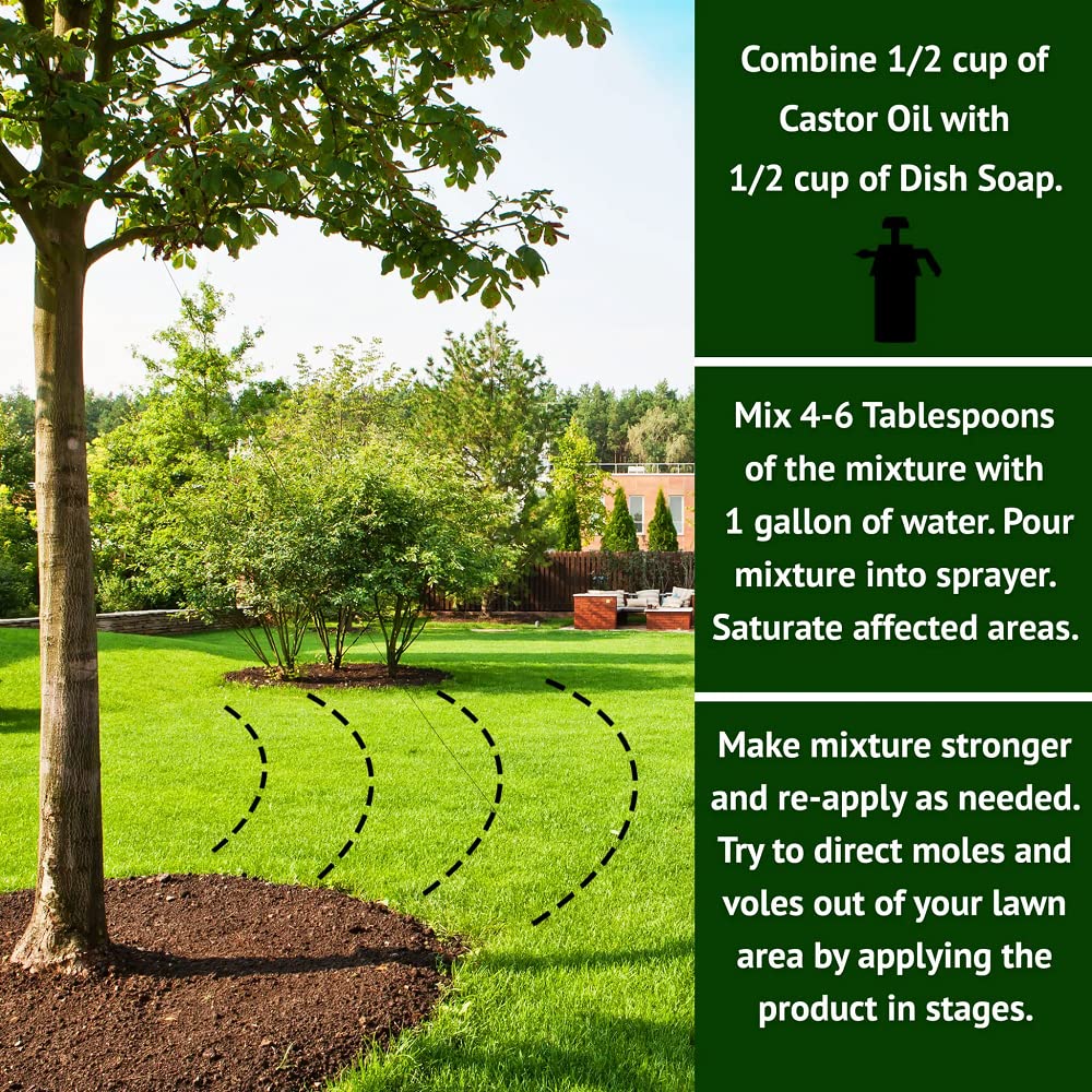 Nature's MACE application around play areas is safe for pets and kids when directed.