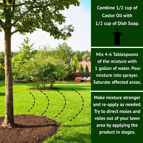 Nature's MACE application around play areas is safe for pets and kids when directed.