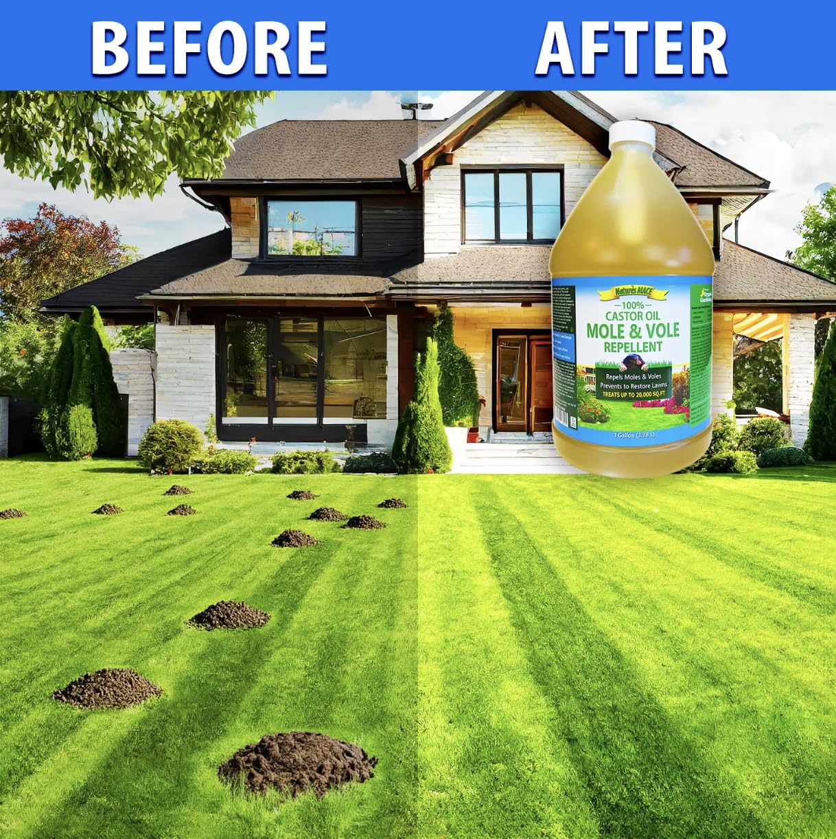 Nature's MACE castor oil spray applied to yard deters tunnel activity.