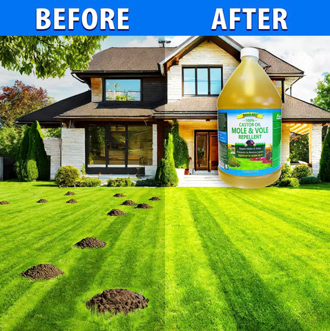 Nature's MACE castor oil spray applied to yard deters tunnel activity.