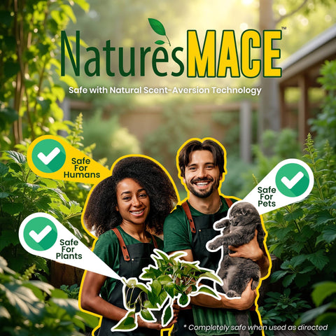 Nature's MACE Cat Repellent contains peppermint, cinnamon, castor oils for deterrence