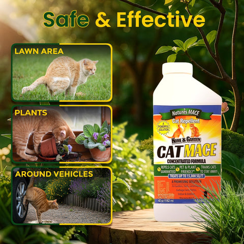 Nature's MACE Cat Repellent 40oz being applied for indoor training