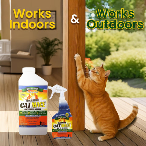 Nature's MACE Cat Repellent safe around kids and pets in garden