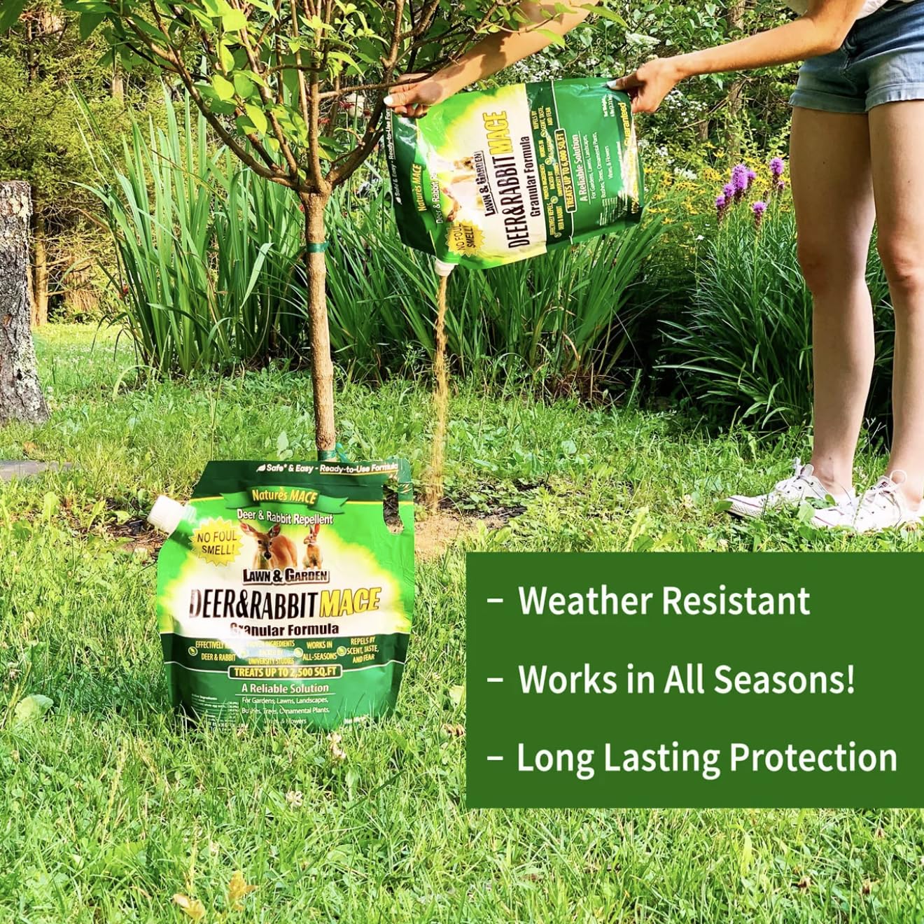 Nature's MACE granules after rainfall stay effective for garden protection