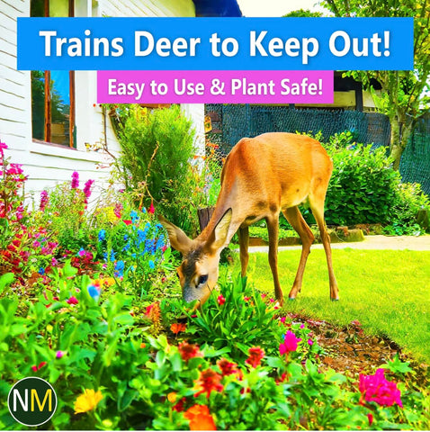 Nature's MACE perimeter barrier around plant groups deters deer and rabbits
