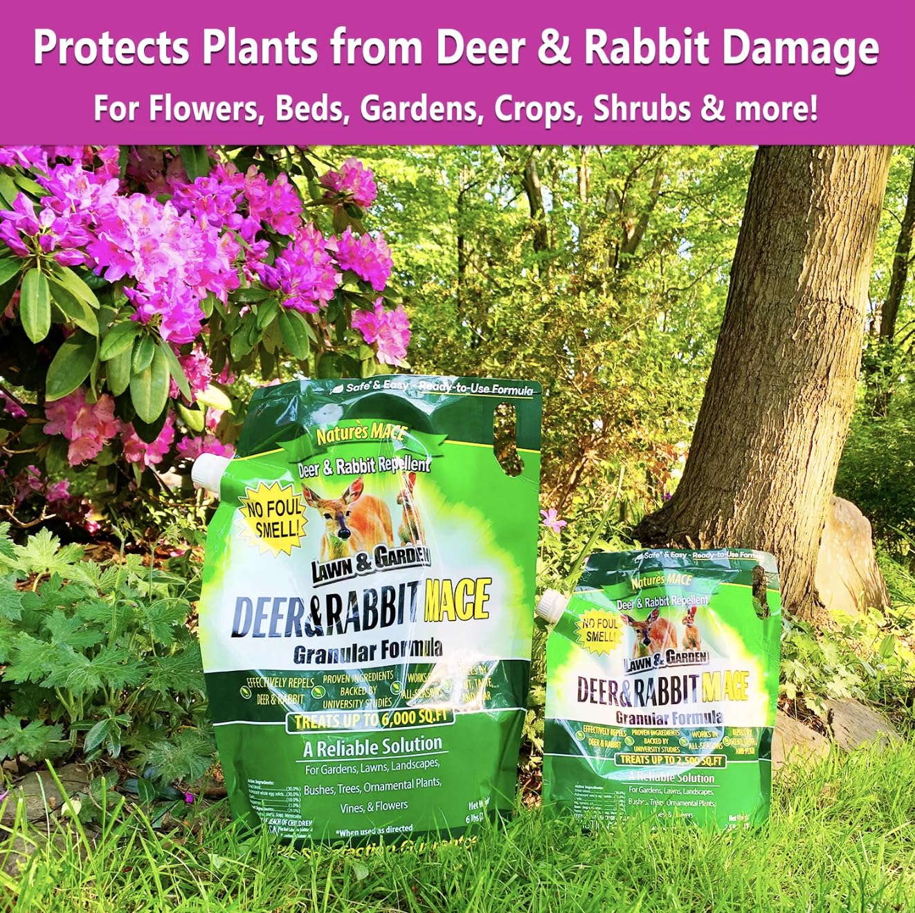 Nature's MACE barrier around shrubs supports long-term deterrence from rabbits