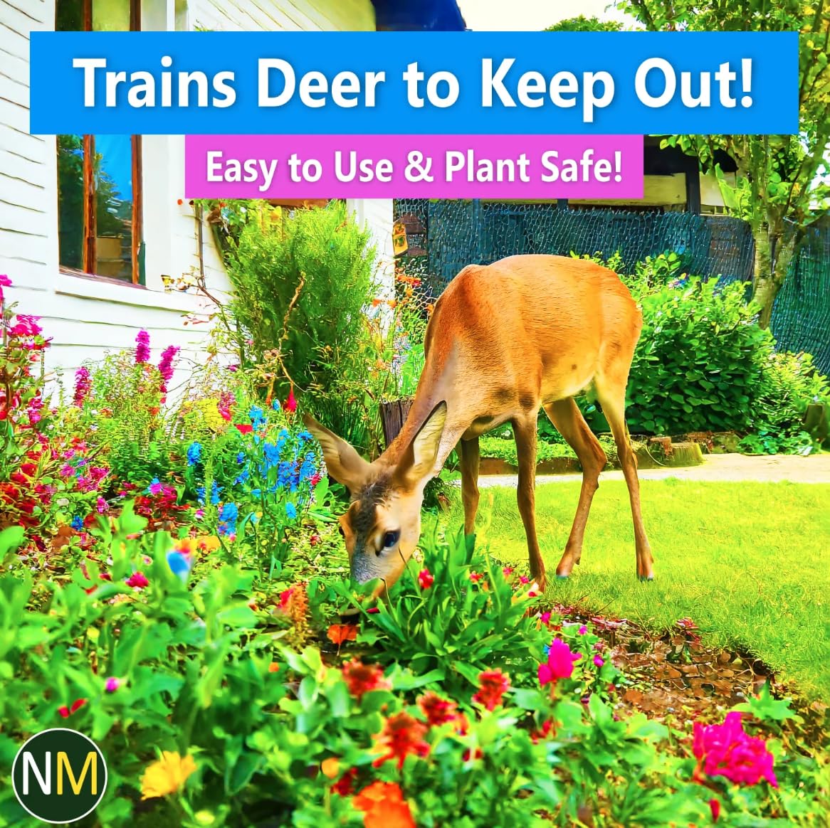 Nature's MACE protects a flower bed from deer and rabbits.