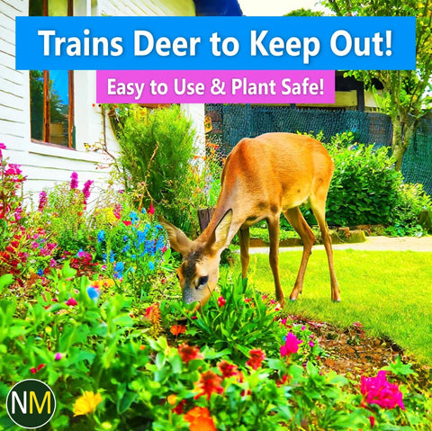 Nature's MACE protects a flower bed from deer and rabbits.