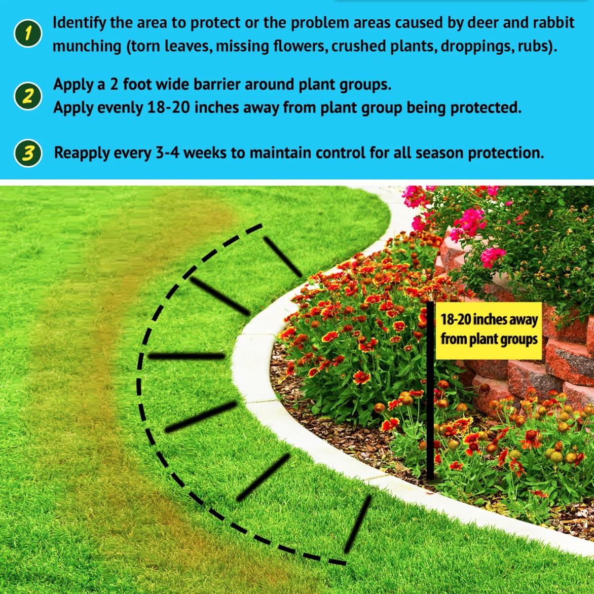 Nature's MACE protects seedlings and shrubs in the garden.