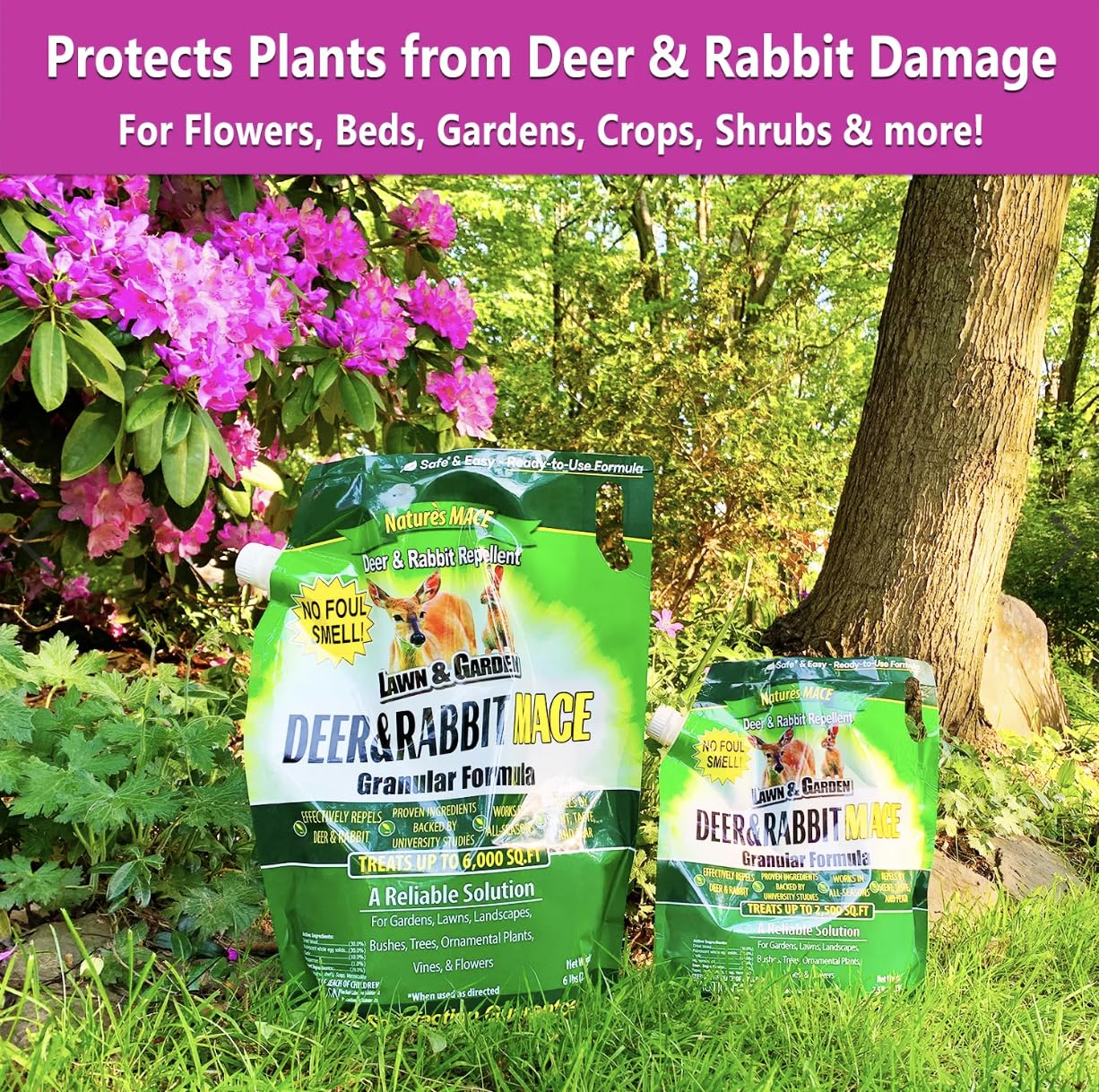 Nature's MACE Deer Repellent Barrier around plants reduces nibbling