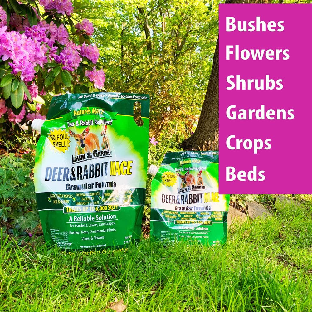 Nature's MACE Deer Repellent Garden Bed Protection guards shrubs and ornamentals