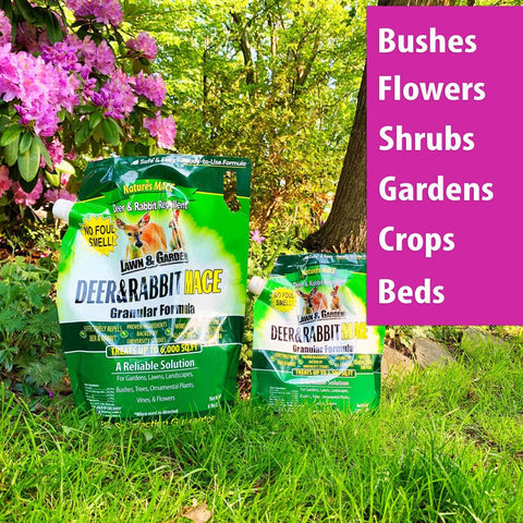 Nature's MACE Deer Repellent Garden Bed Protection guards shrubs and ornamentals