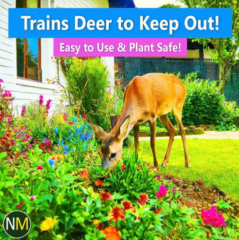 Nature's MACE Deer Repellent Year-round protection for seasonal gardens