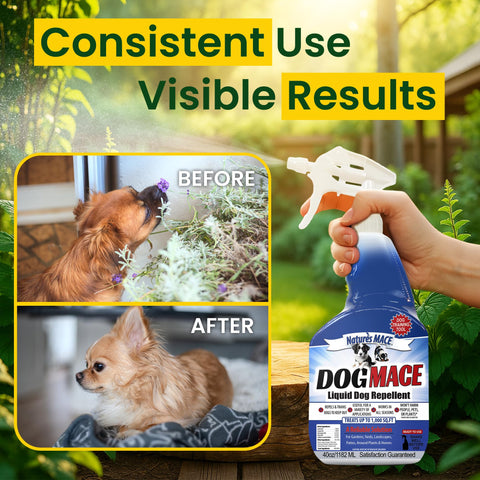 Nature's MACE Dog Mace digging-training aid supports gradual behavior shaping.
