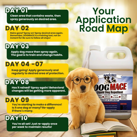 Nature's MACE spray is plant-safe and pet-friendly.