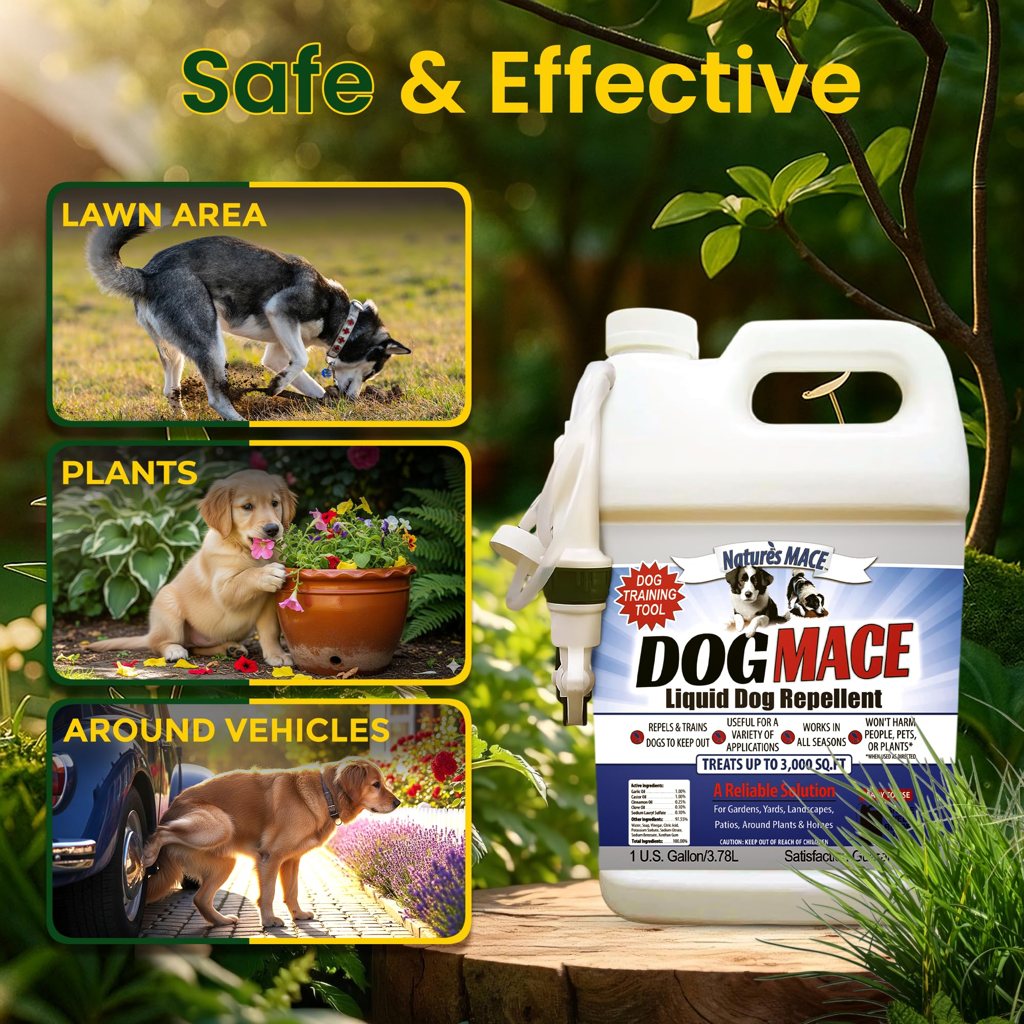 Nature's MACE spray mist near a garden path to protect yard areas.