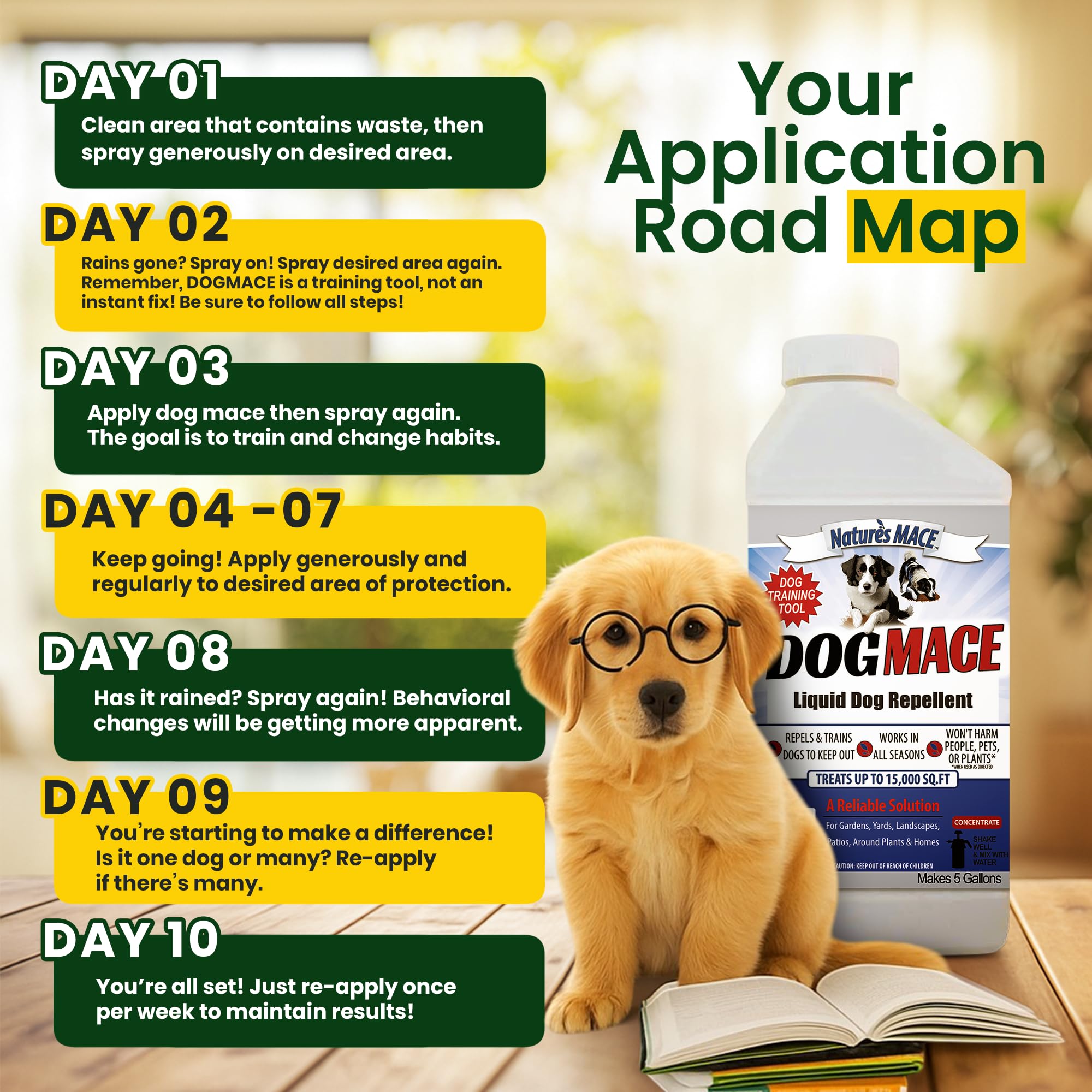 Nature's MACE Dog Mace surface-safe application preserves surfaces while deterring behavior.