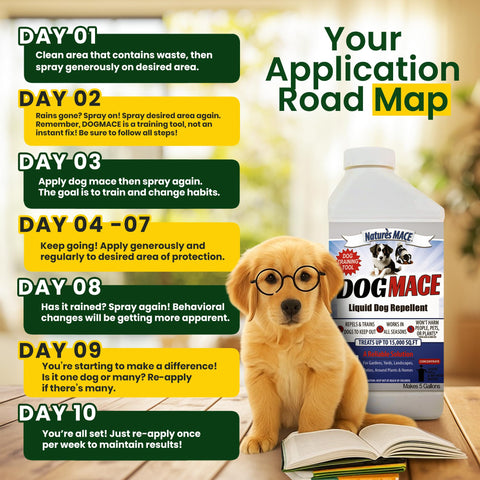 Nature's MACE Dog Mace surface-safe application preserves surfaces while deterring behavior.