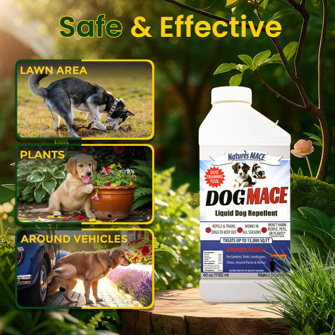 Nature's MACE Dog Mace yard coverage illustration for training and boundary setting.