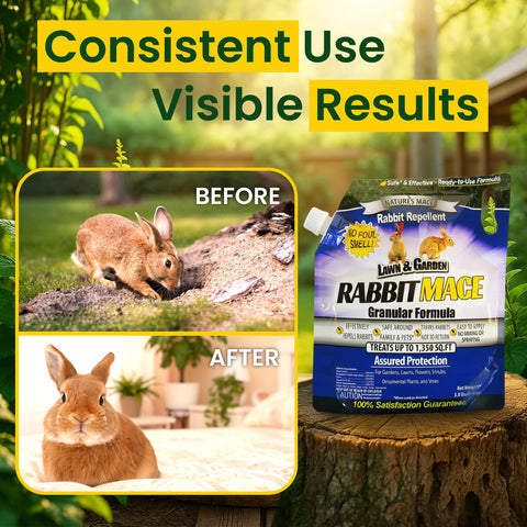 Nature's MACE easy-application-steps shows quick setup and ongoing protection.