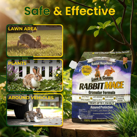 Garden protected with Nature's MACE rabbit mace for reduced bunny browsing.