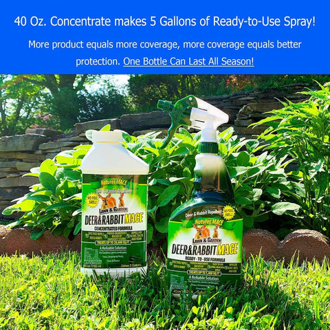 Nature's MACE protects produce while staying pet-safe in the garden