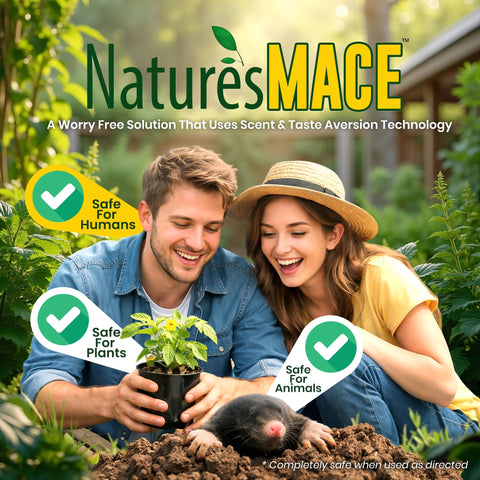 Easy, mess-free application of Nature's MACE in a backyard landscape.