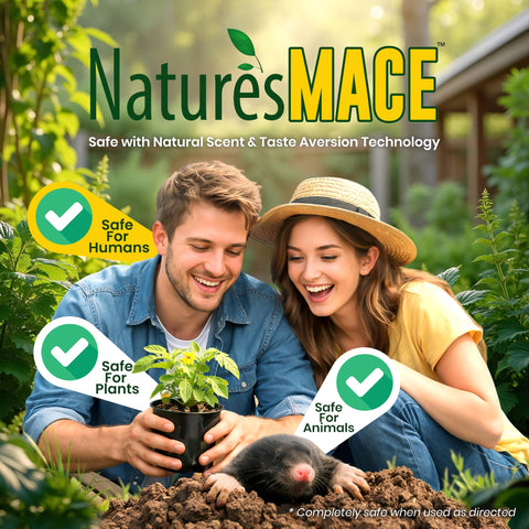 Safe, pet-friendly garden care for homes and families