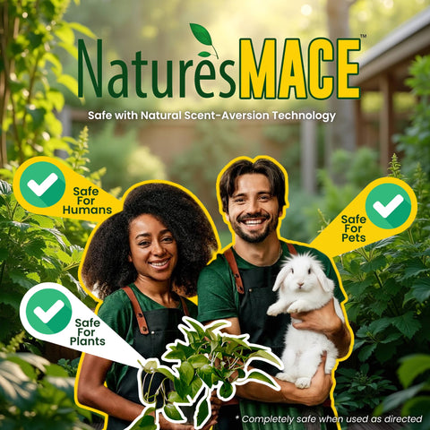 Nature's MACE pet-safe-use demonstrates family-friendly rabbit deterrence in outdoor spaces.