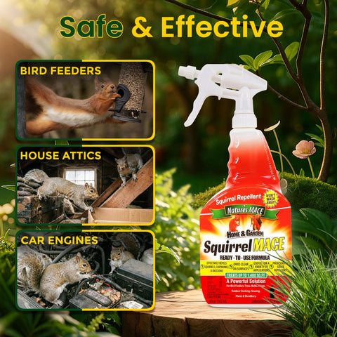 Nature's MACE plant protection spray guards bulbs and shrubs.