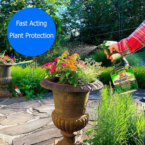 Nature's MACE applied to plants, protecting beds and flowers