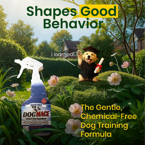 Nature's MACE spray being applied in the yard to deter dogs.