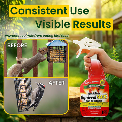 Nature's MACE spray-in-action image highlights daily use benefits.